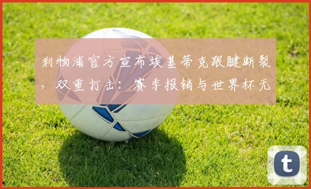 利物浦官方宣布埃基蒂克跟腱断裂,双重打击:赛季报销与世界杯无缘