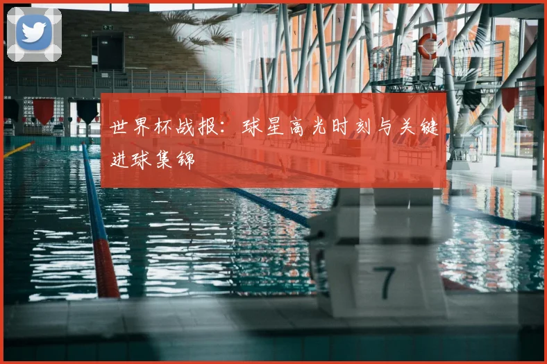 世界杯战报:球星高光时刻与关键进球集锦