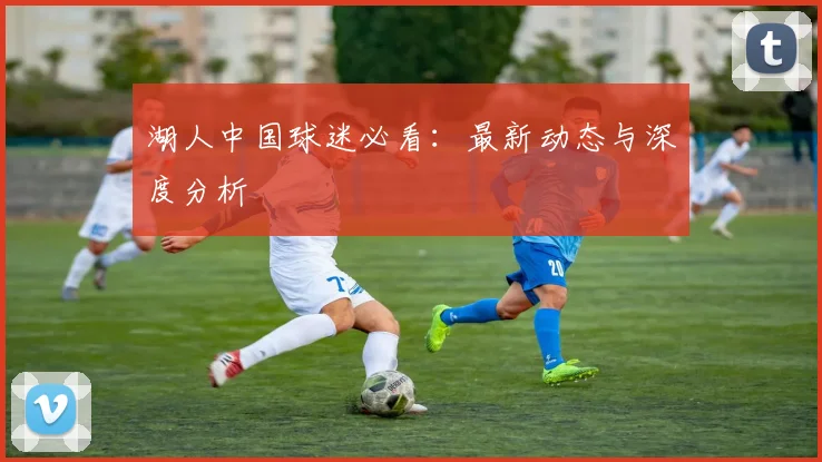 湖人中国球迷必看:最新动态与深度分析
